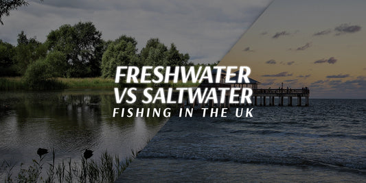 Freshwater vs Saltwater Fishing in the UK: Common Questions Answered
