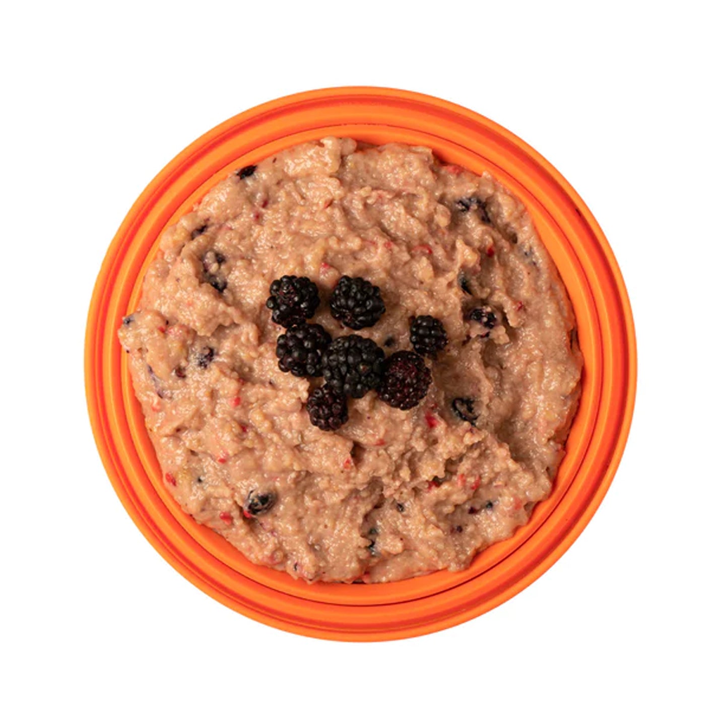 Expedition Foods Custard with Mixed Berries Pudding Meal