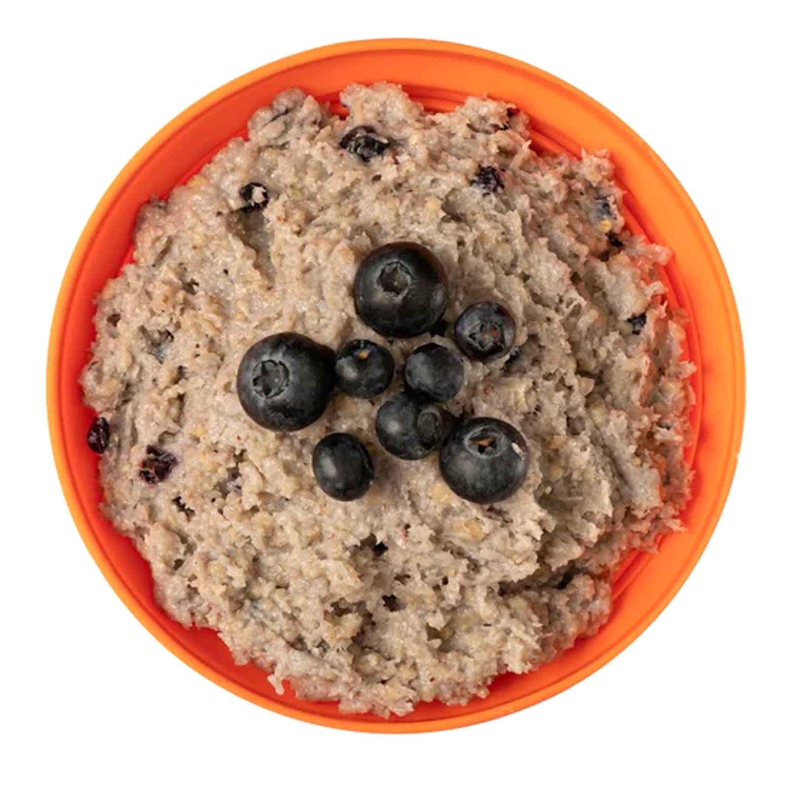 Expedition Foods Porridge with Blueberries Meal